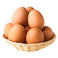 Süt ve Süt ürünleri