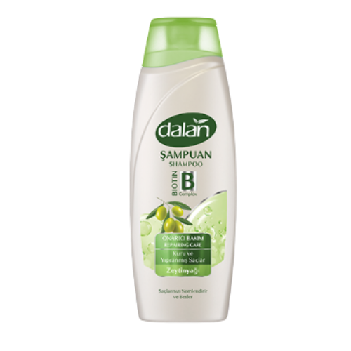 Dalan Onarıcı Bakım Şampuanı