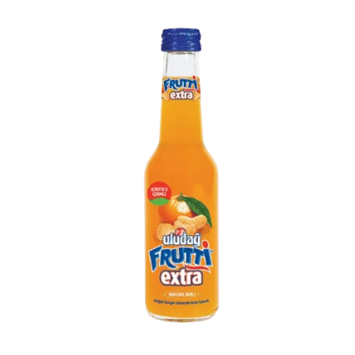 Uludağ Frutti Extra Mandalina 250 Ml
